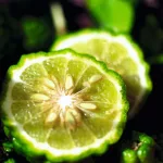 Vyživujúci balzam pre veľmi suché ruky - Karité & bergamot