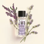 Relaxačná parfumová voda Calme Absolu