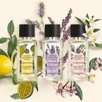 Relaxačná parfumová voda Calme Absolu