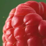 Malinový ocot pre lesklé vlasy