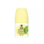 Dezodorant 24 h Citrus s mätou