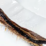 Telový a vlasový olej