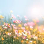 Eau Fraiche Magnólia a bergamot