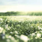 Eau Fraiche Mäta a céder