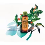 Koncentrovaný sprchovací gél Mango