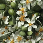 Sprchovací gél Oliva &  petit grain