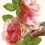 Garden Party EDP 100ml